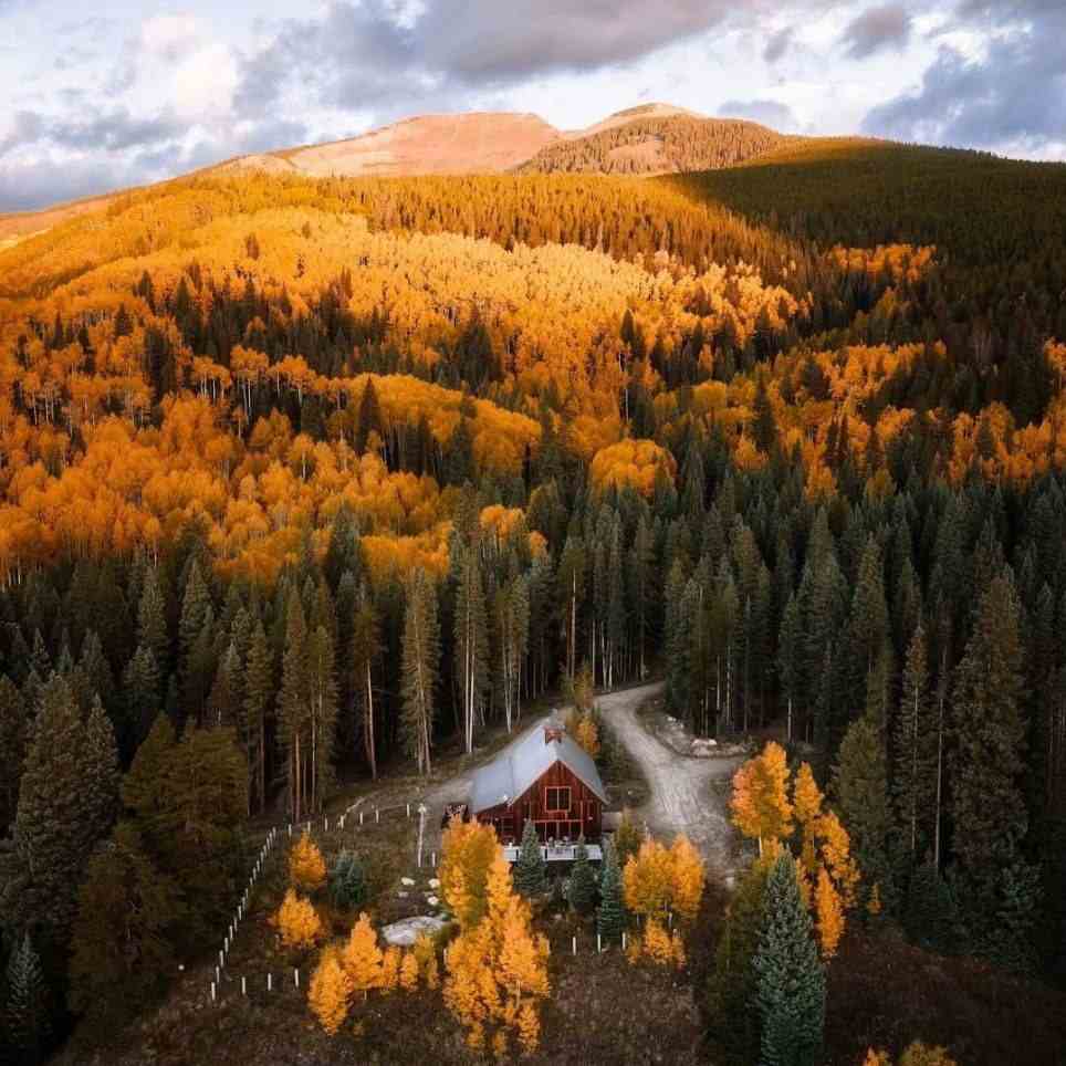 آهنگ جدید زاگرس ئاری بەسە دووری